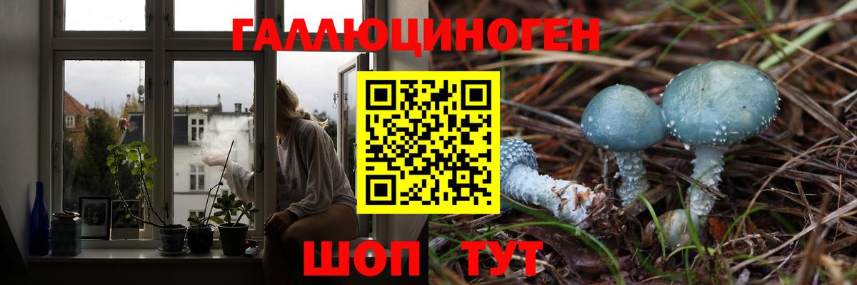 Галлюциногенные грибы MAGIC MUSHROOMS Нерюнгри